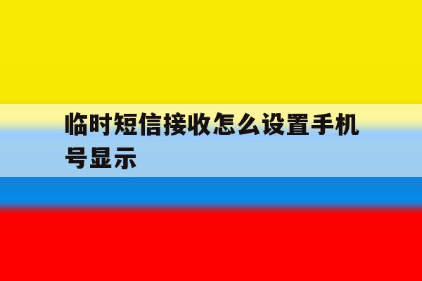 临时短信接收怎么设置手机号显示 临时短信接收怎么设置手机号显示