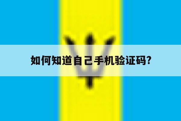 如何知道自己手机验证码? 如何知道自己手机验证码?