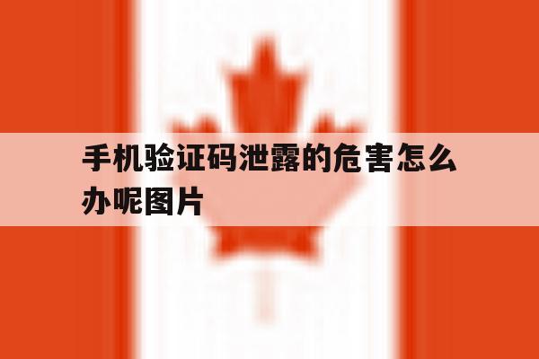 手机验证码泄露的危害怎么办呢图片 手机验证码泄露的危害怎么办呢图片