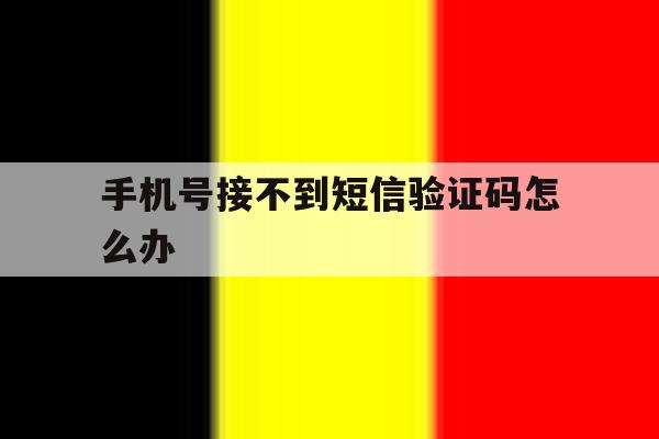 手机号接不到短信验证码怎么办 手机号接不到短信验证码怎么办
