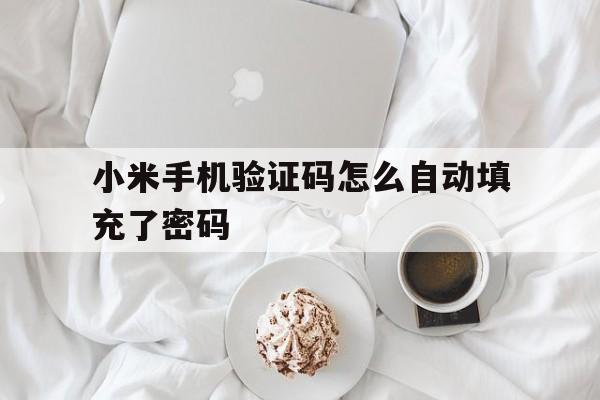 小米手机验证码怎么自动填充了密码 小米手机验证码怎么自动填充了密码