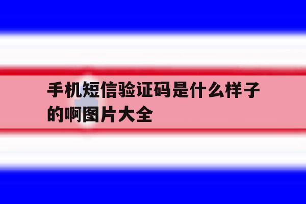 手机短信验证码是什么样子的啊图片大全 手机短信验证码是什么样子的啊图片大全