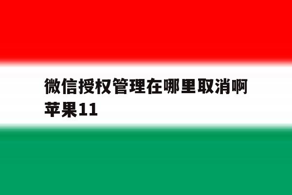 微信授权管理在哪里取消啊苹果11 微信授权管理在哪里取消啊苹果11