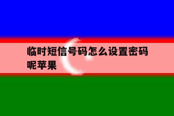 临时短信号码怎么设置密码呢苹果 临时短信号码怎么设置密码呢苹果