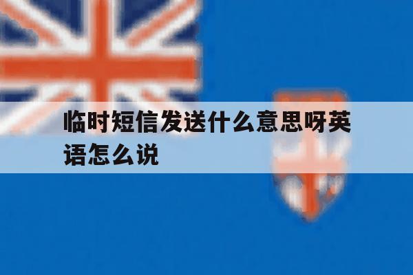 临时短信发送什么意思呀英语怎么说 临时短信发送什么意思呀英语怎么说