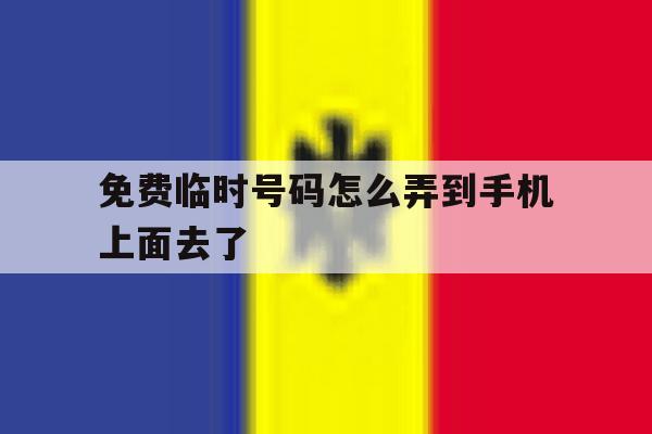 免费临时号码怎么弄到手机上面去了 免费临时号码怎么弄到手机上面去了