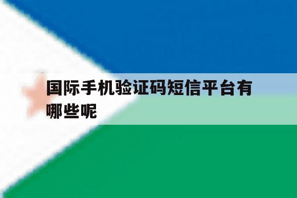 国际手机验证码短信平台有哪些呢 国际手机验证码短信平台有哪些呢