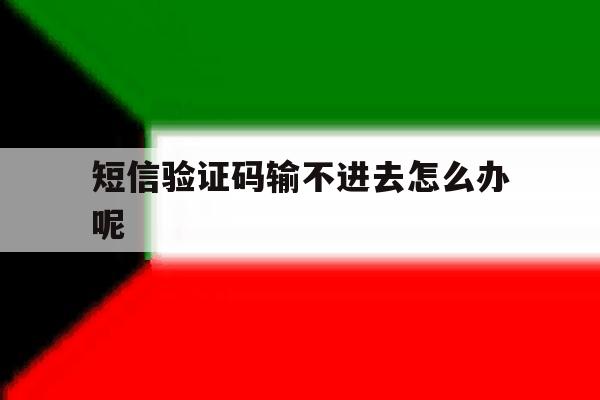 短信验证码输不进去怎么办呢 短信验证码输不进去怎么办呢