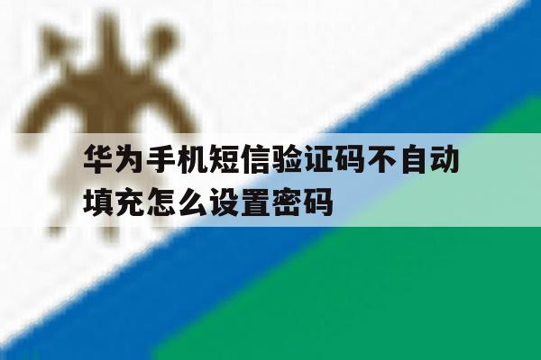 华为手机短信验证码不自动填充怎么设置密码 华为手机短信验证码不自动填充怎么设置密码