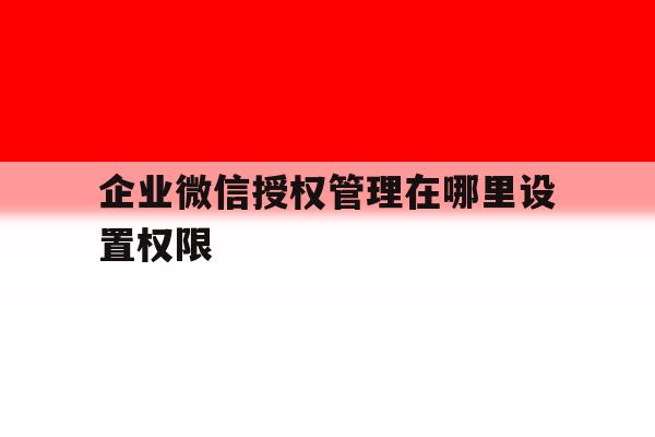 企业微信授权管理在哪里设置权限 企业微信授权管理在哪里设置权限