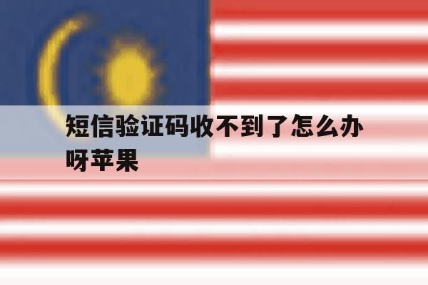 短信验证码收不到了怎么办呀苹果 短信验证码收不到了怎么办呀苹果