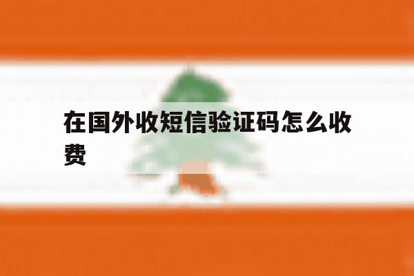 在国外收短信验证码怎么收费 在国外收短信验证码怎么收费