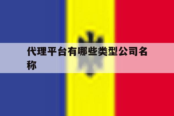 代理平台有哪些类型公司名称 代理平台有哪些类型公司名称