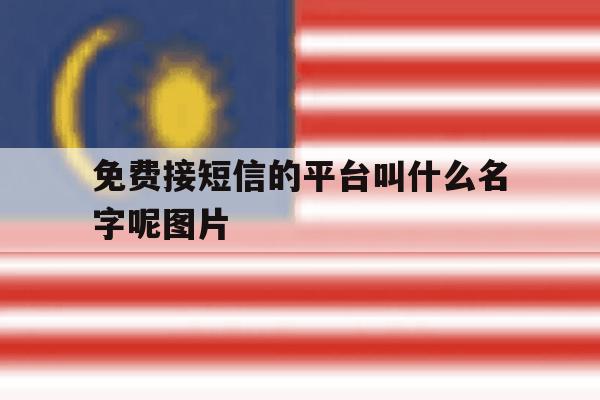 免费接短信的平台叫什么名字呢图片 免费接短信的平台叫什么名字呢图片