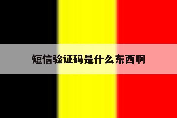 短信验证码是什么东西啊 短信验证码是什么东西啊