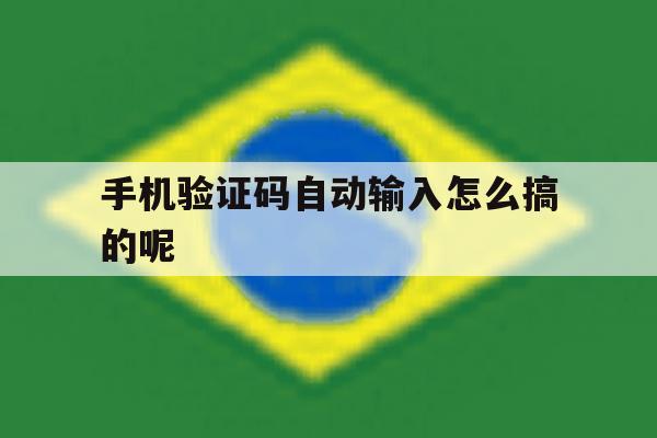 手机验证码自动输入怎么搞的呢 手机验证码自动输入怎么搞的呢