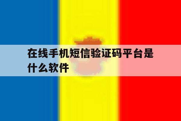在线手机短信验证码平台是什么软件 在线手机短信验证码平台是什么软件