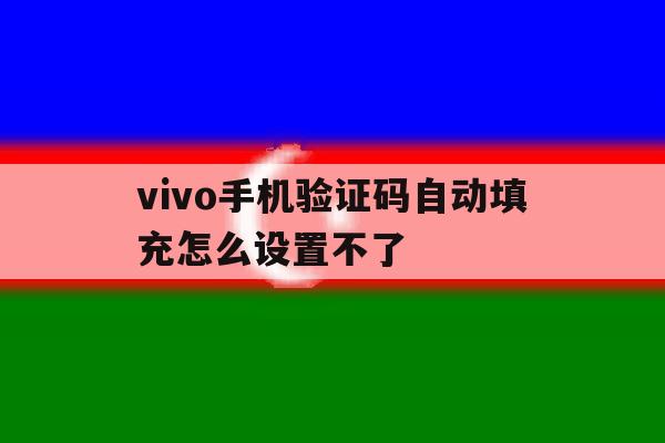 vivo手机验证码自动填充怎么设置不了 vivo手机验证码自动填充怎么设置不了