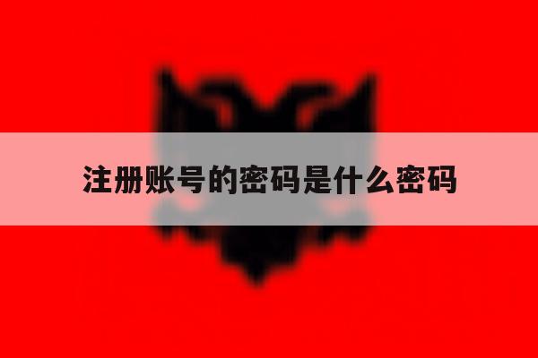注册账号的密码是什么密码