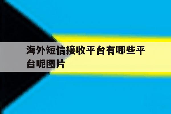 海外短信接收平台有哪些平台呢图片 海外短信接收平台有哪些平台呢图片