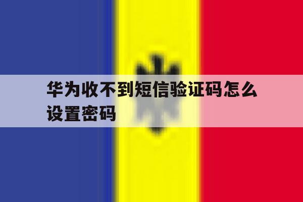 华为收不到短信验证码怎么设置密码 华为收不到短信验证码怎么设置密码