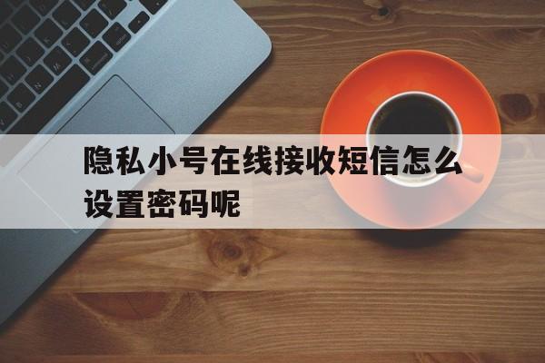 隐私小号在线接收短信怎么设置密码呢 隐私小号在线接收短信怎么设置密码呢