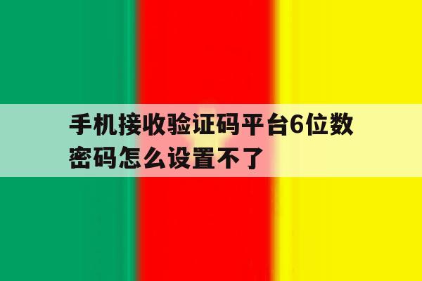 手机接收验证码平台6位数密码怎么设置不了 手机接收验证码平台6位数密码怎么设置不了
