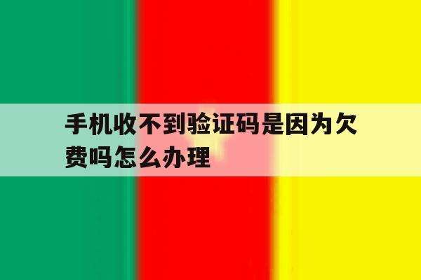 手机收不到验证码是因为欠费吗怎么办理 手机收不到验证码是因为欠费吗怎么办理