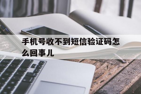 手机号收不到短信验证码怎么回事儿 手机号收不到短信验证码怎么回事儿