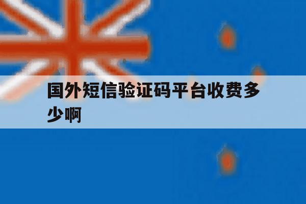 国外短信验证码平台收费多少啊 国外短信验证码平台收费多少啊