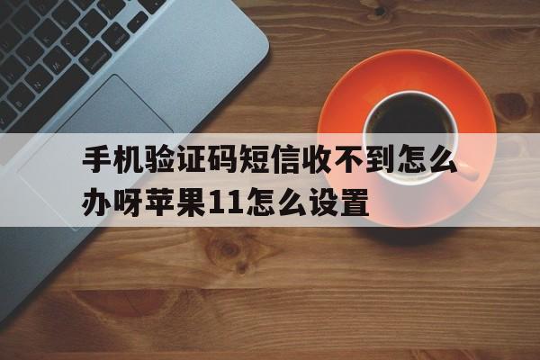 手机验证码短信收不到怎么办呀苹果11怎么设置 手机验证码短信收不到怎么办呀苹果11怎么设置