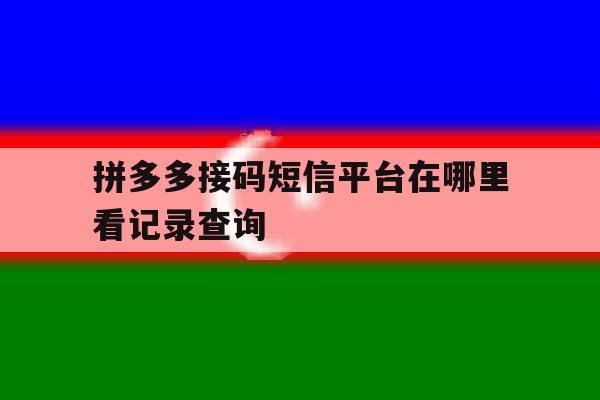 拼多多接码短信平台在哪里看记录查询 拼多多接码短信平台在哪里看记录查询