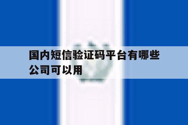 国内短信验证码平台有哪些公司可以用 国内短信验证码平台有哪些公司可以用