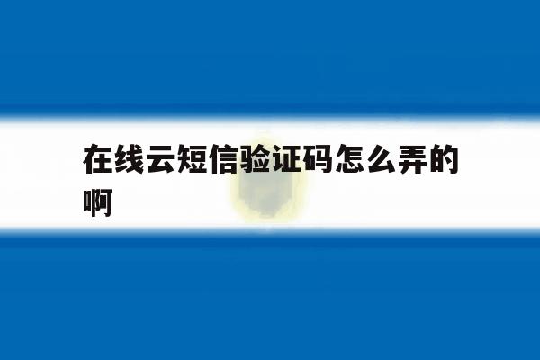 在线云短信验证码怎么弄的啊 在线云短信验证码怎么弄的啊