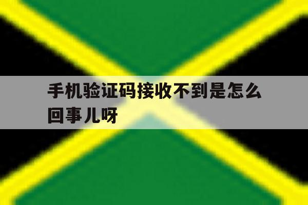 手机验证码接收不到是怎么回事儿呀 手机验证码接收不到是怎么回事儿呀
