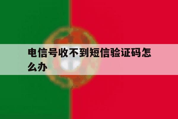 电信号收不到短信验证码怎么办 电信号收不到短信验证码怎么办
