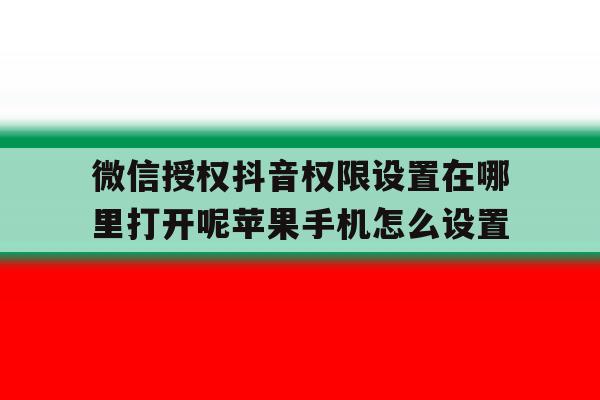 包含微信授权抖音权限设置在哪里打开呢苹果手机怎么设置的词条 包含微信授权抖音权限设置在哪里打开呢苹果手机怎么设置的词条