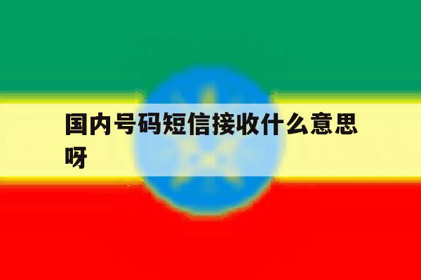 国内号码短信接收什么意思呀 国内号码短信接收什么意思呀