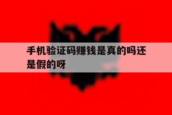 手机验证码赚钱是真的吗还是假的呀 手机验证码赚钱是真的吗还是假的呀