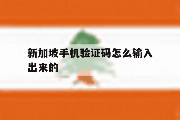 新加坡手机验证码怎么输入出来的 新加坡手机验证码怎么输入出来的