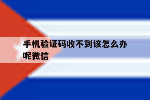 手机验证码收不到该怎么办呢微信 手机验证码收不到该怎么办呢微信