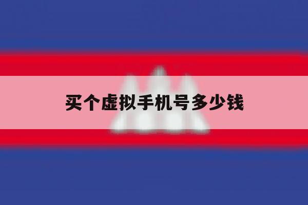 买个虚拟手机号多少钱 买个虚拟手机号多少钱