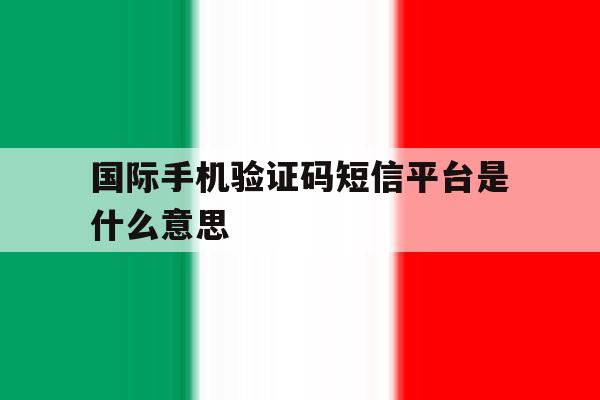 国际手机验证码短信平台是什么意思 国际手机验证码短信平台是什么意思