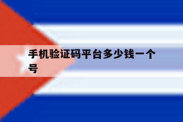 手机验证码平台多少钱一个号 手机验证码平台多少钱一个号