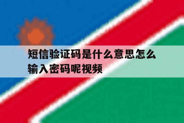 短信验证码是什么意思怎么输入密码呢视频 短信验证码是什么意思怎么输入密码呢视频