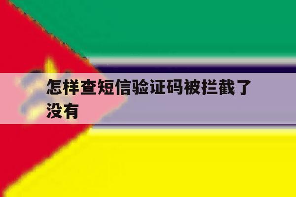 怎样查短信验证码被拦截了没有 怎样查短信验证码被拦截了没有