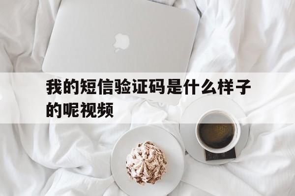 我的短信验证码是什么样子的呢视频 我的短信验证码是什么样子的呢视频