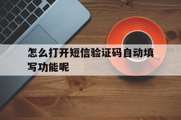 怎么打开短信验证码自动填写功能呢 怎么打开短信验证码自动填写功能呢