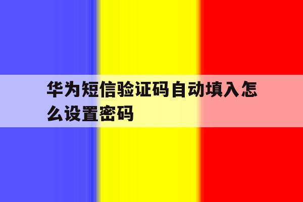 华为短信验证码自动填入怎么设置密码 华为短信验证码自动填入怎么设置密码