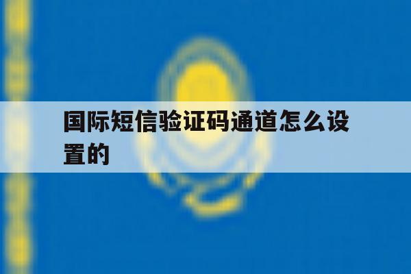 国际短信验证码通道怎么设置的 国际短信验证码通道怎么设置的
